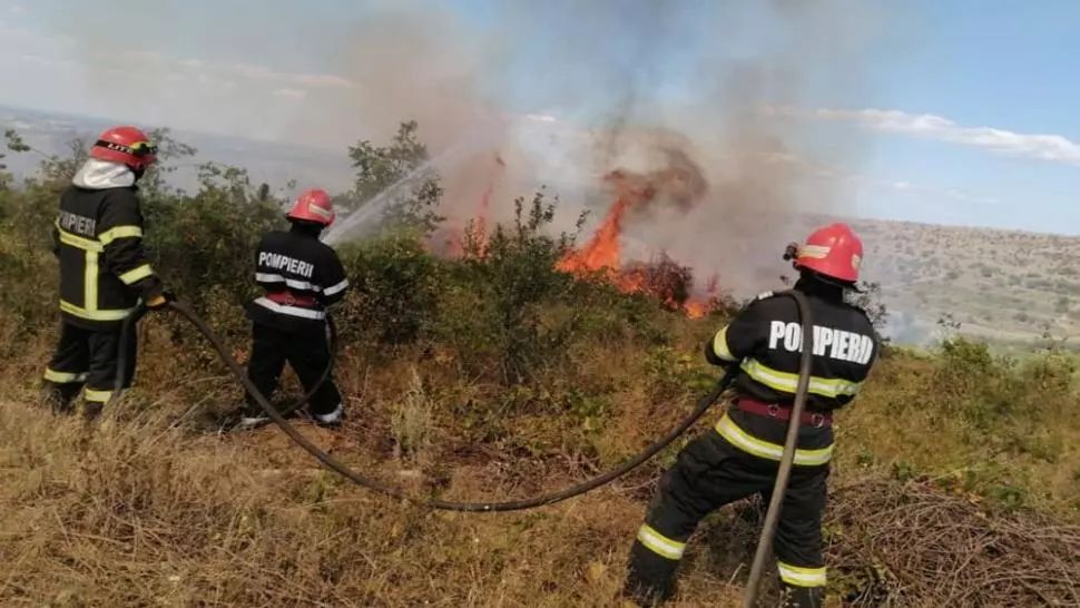 FOTO Incendiu puternic de vegetație, în Tulcea.150 de hectare de vegetație uscată și viță-de-vie, distruse