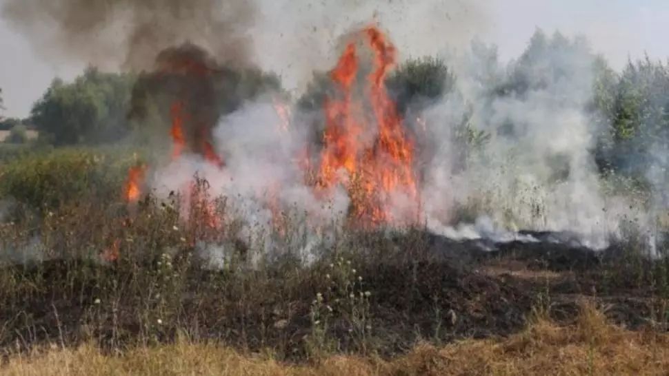  Periș- Ilfov. Fermă de porci, amendă de 115.000 lei pentru poluare