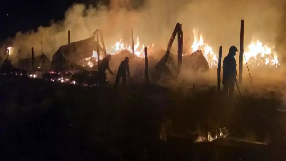 Buzău: Adăpostul de animale din Costești a fost incendiat