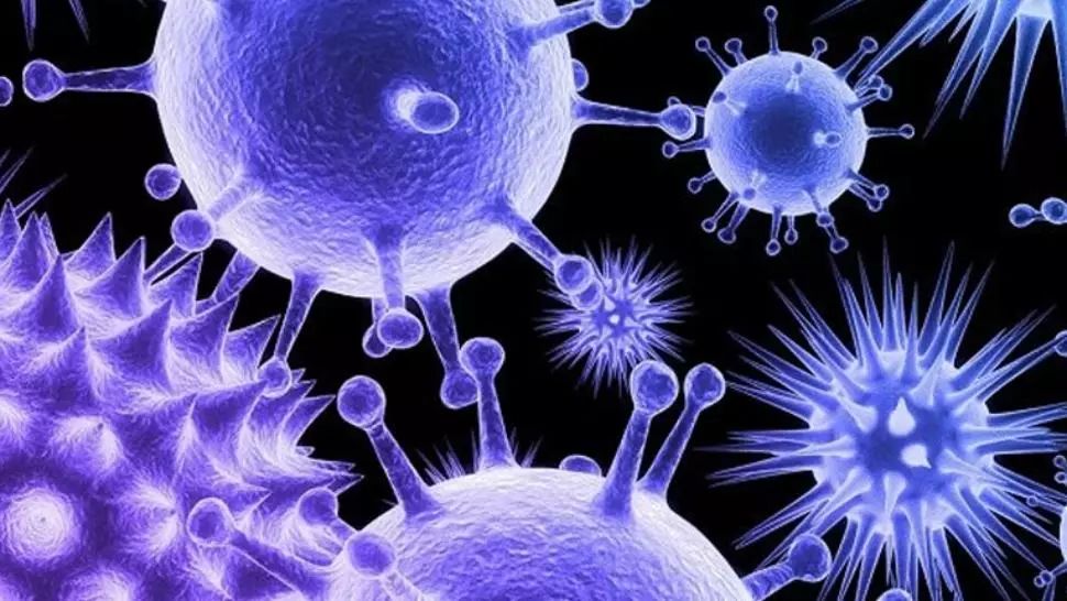 OMS, anunț istoric despre eradicarea poliomielitei: Africa - liberă de virusul „polio sălbatic”