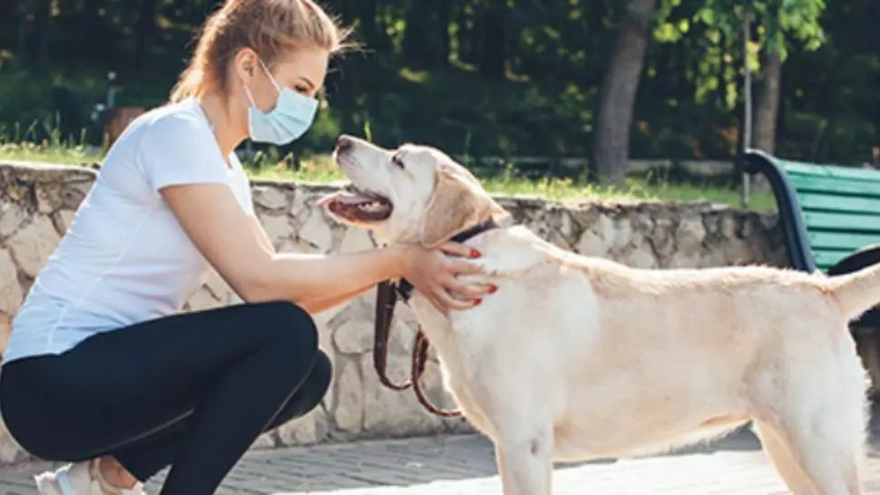 Studiu: Coronavirusul se poate transmite de la om la animalele de companie