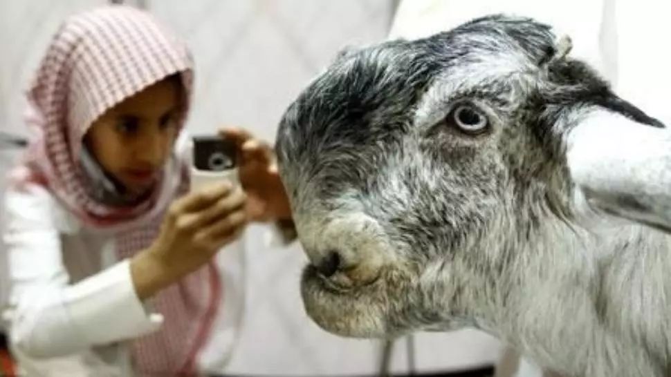 Animalul înfiorător care a scăpat pe internet. Ce secret teribil ascunde creatura care a îngrozit