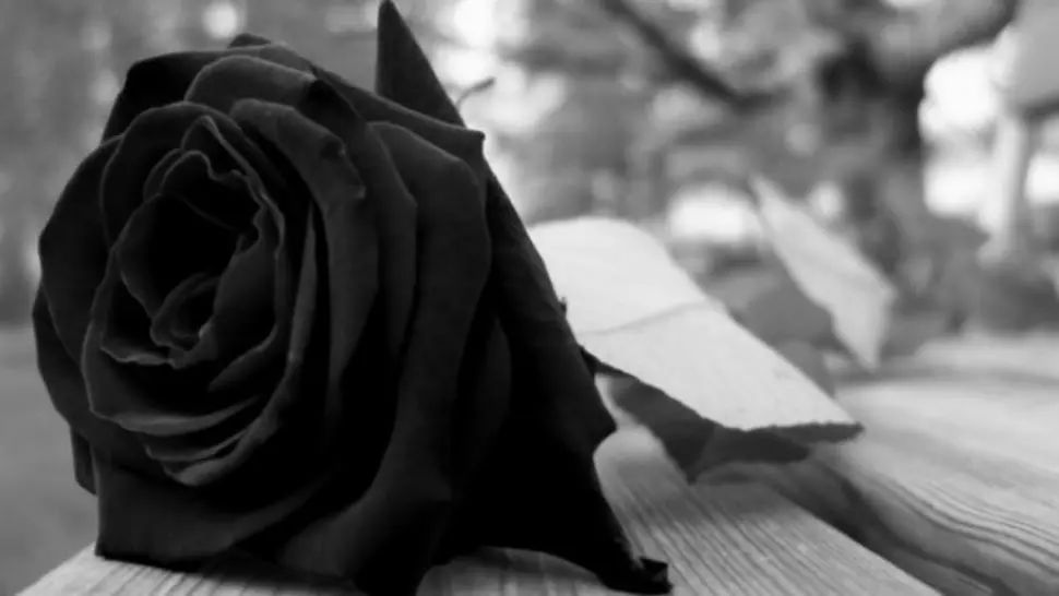 Doliu în lumea culturală. Unul din cei mai mari academicieni români a murit