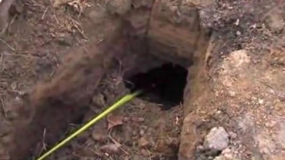 Au găsit o gaură în curtea casei. Se auzeau sunete de acolo. Au ÎNGHEŢAT când au văzut cine a ieşit
