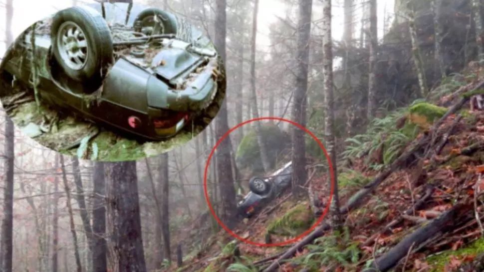 O mașină dispărută în urmă cu 27 de ani, găsită în pădure, înfiptă în pom. Oribil ce era lângă ea!