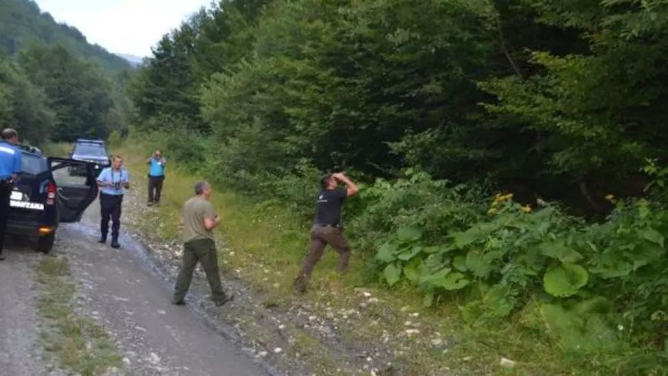 Un bărbat din Banat și-a ucis soția cu toporul și a fugit în pădure