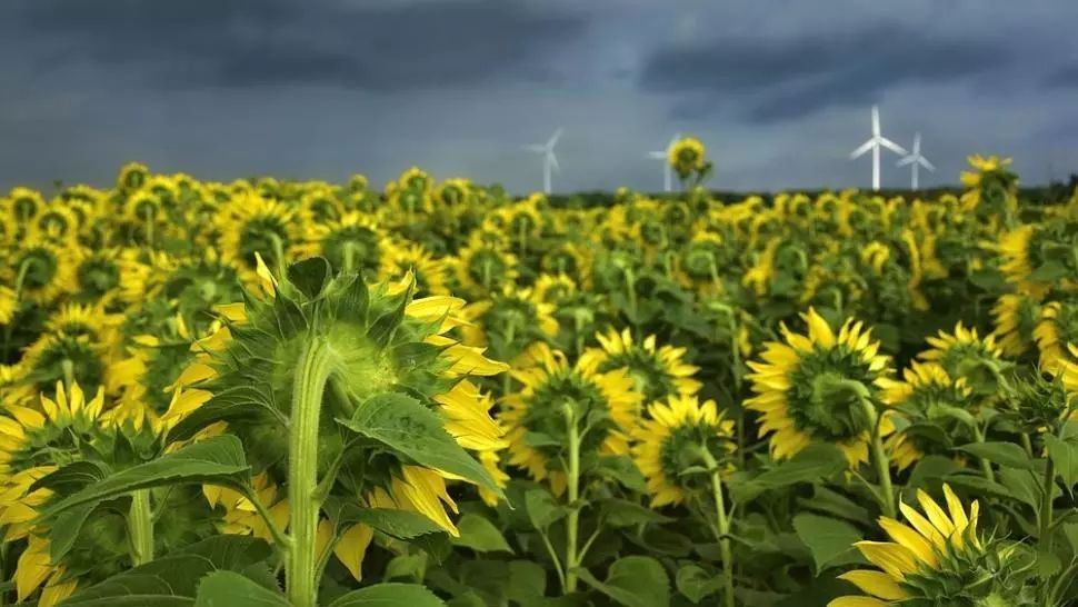 Vreme extremă: ploi și vijelii. Cod portocaliu de fenomene SEVERE - Prognoza meteo 19 august