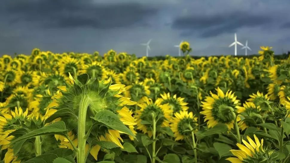 Avertizare meteo: cod portocaliu de inundații, ploi torențiale și vijelii