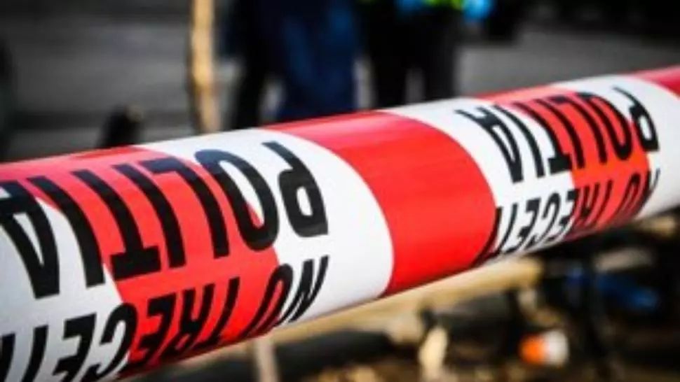 Tânăr arestat după ce a deschis focul într-un campus universitar din Țara Bascilor