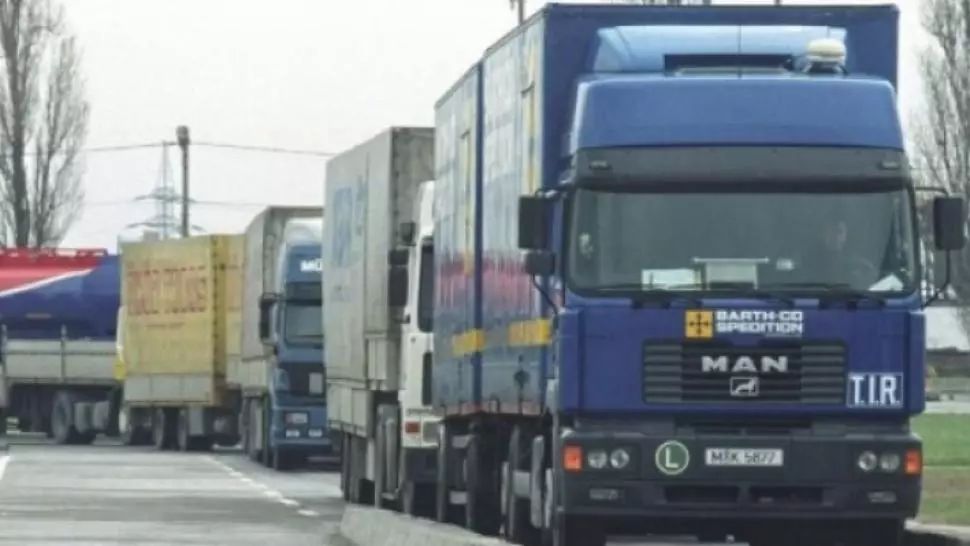 Descoperire șocantă la Vama Nădlac. 14 migranți turci, găsiți într-un camion încărcat cu pește