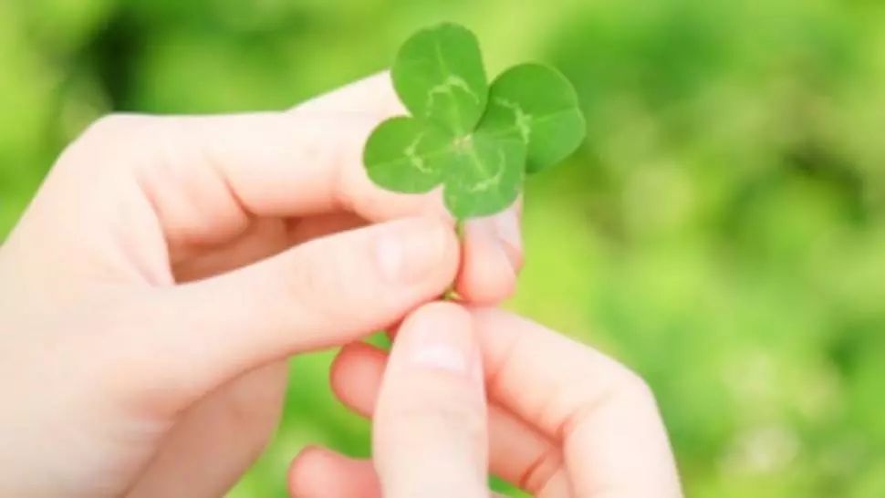 Horoscop 2 august. Schimbări radicale pe plan financiar