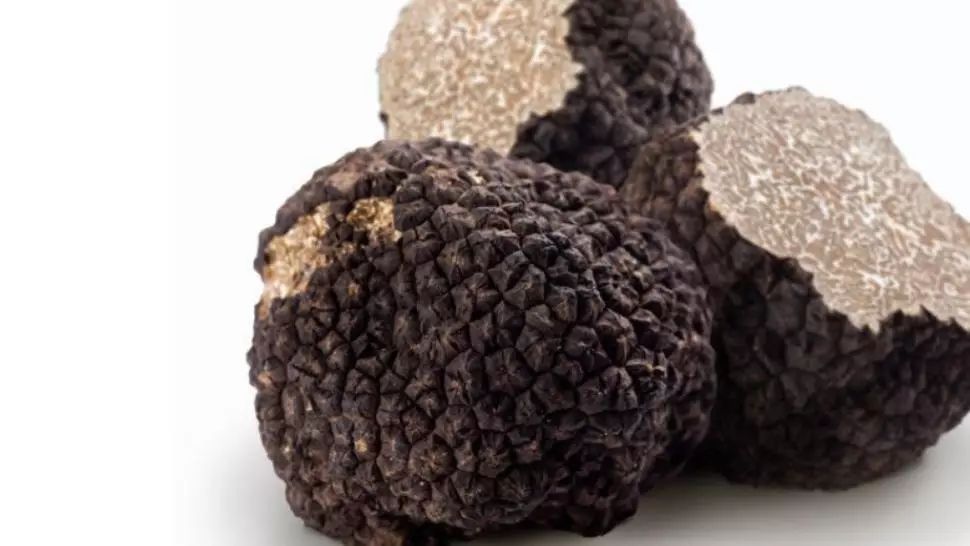 7 persoane, amendate cu peste 10.000 de lei după ce au fost prinse în timp ce culegeau trufe negre dintr-o pădure din Bacău