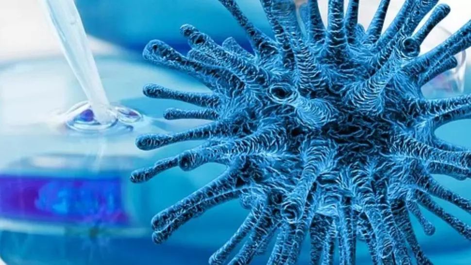 Tratament anti-Covid bazat pe anticorpi de la cai, testat în Costa Rica