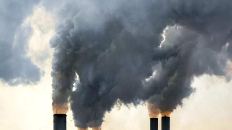 Legea Mirosurilor, în vigoare, în România