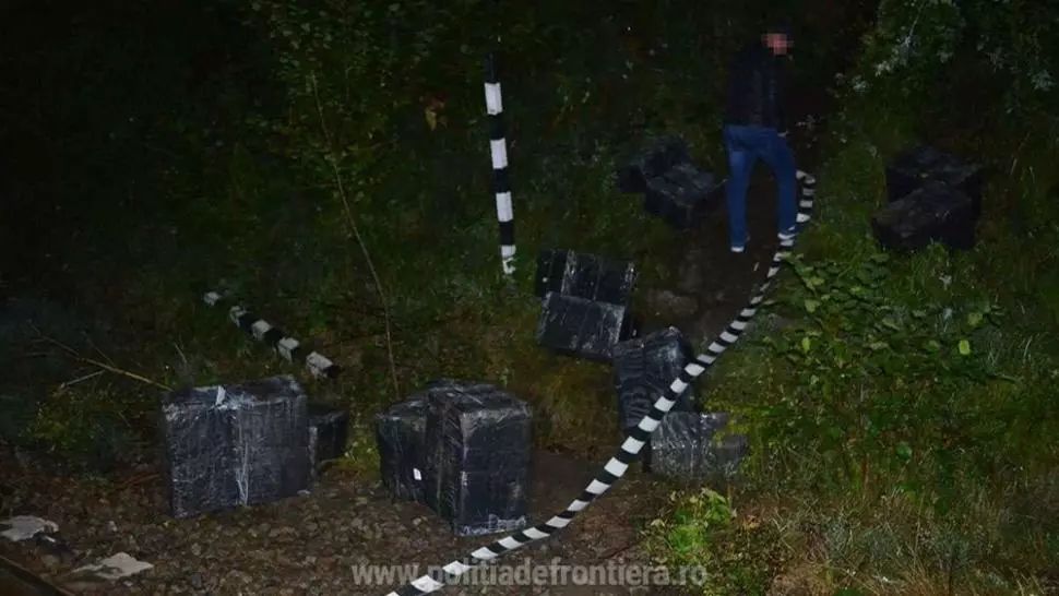 Peste 31.000 de pachete cu țigări de contrabandă, confiscate la frontiera de nord a României
