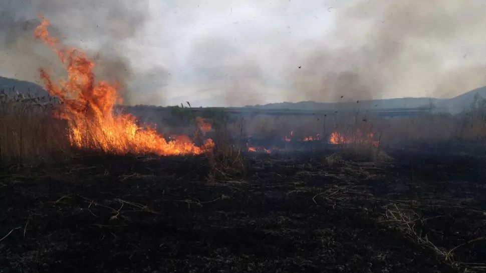 FOTO Incendiu de vegetație de proporții, la Sibiu, focul s-a întins pe 35 de hectare 