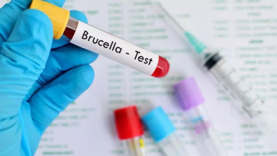 Autoritățile chineze, în alertă: Mii de persoane infectate cu bruceloză ca urmare a unei scurgeri de la o fabrică biofarmaceutică