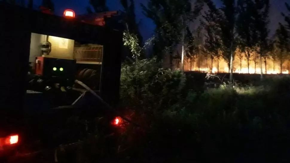 10 hectare de pădure din Slobozia, distruse de un incendiu