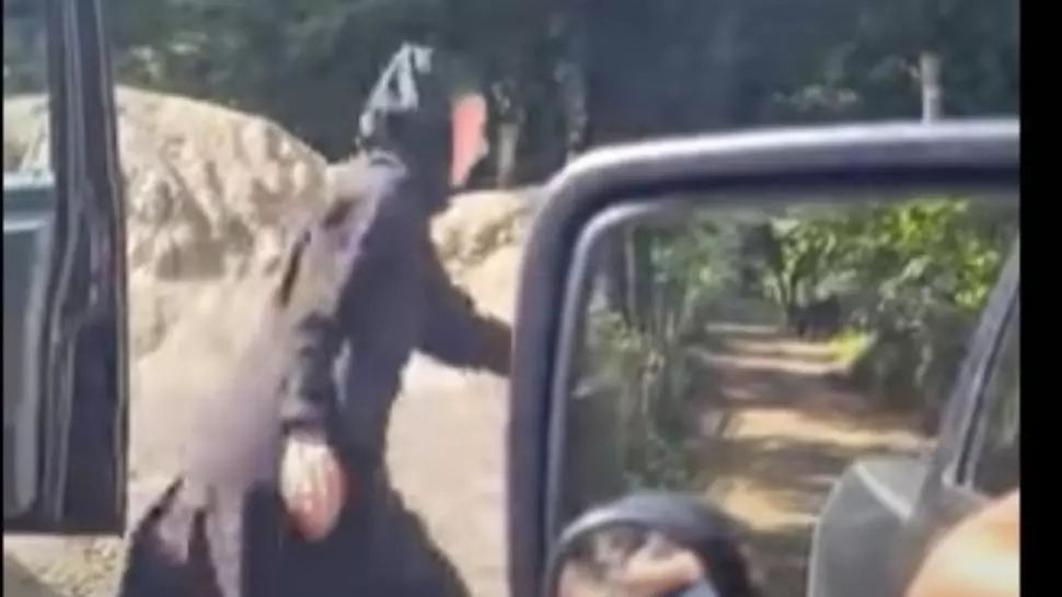 VIDEO Cum au ajuns la vot mai multe măicuțe de la mânăstirea Agapia