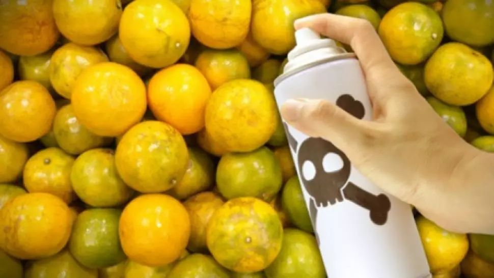 CULISELE STATULUI PARALEL: Otrava din magazine – Pesticide și anitbiotic în alimente