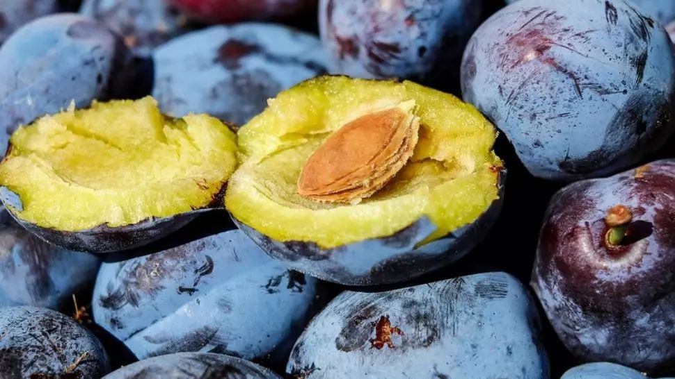 Ce se întâmplă în corpul tău când mănânci prune