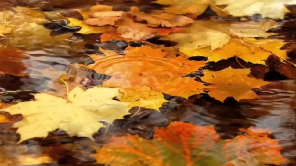 Prognoza meteo. Schimbări radicale: când loveşte frigul şi cât ţine vremea rea. Val de aer rece peste România