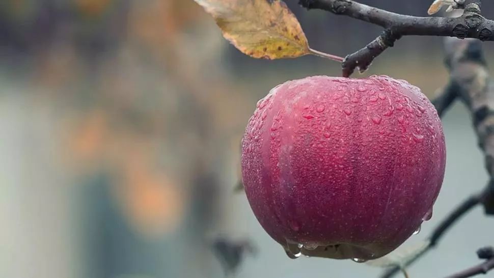 Vreme extremă: ploi și vijelii. Cod galben de fenomene SEVERE