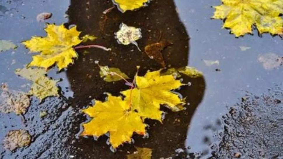 Sfârșit de săptămână cu ploi și vijelii. Cod portocaliu de fenomene SEVERE în aproape toată țara. Cum va fi vremea duminică, în ziua votului 