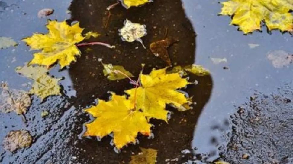 Avertisment de la meteo: temperaturile scad brusc. Când se instalează toamna 