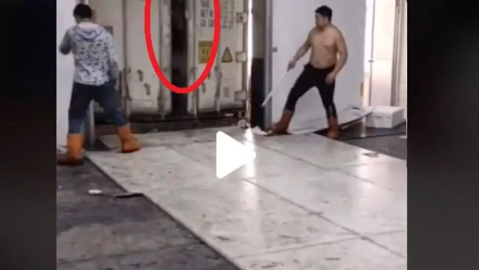 VIDEO – Au deschis ușa camionului că să-l descarce – Ce a urmat întrece orice imaginație