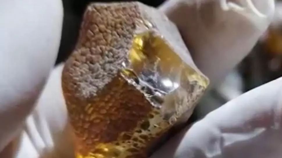 VIDEO/ Urmăriri ca-n filme la granița cu Ucraina. Captură-RECORD făcută de polițiști 