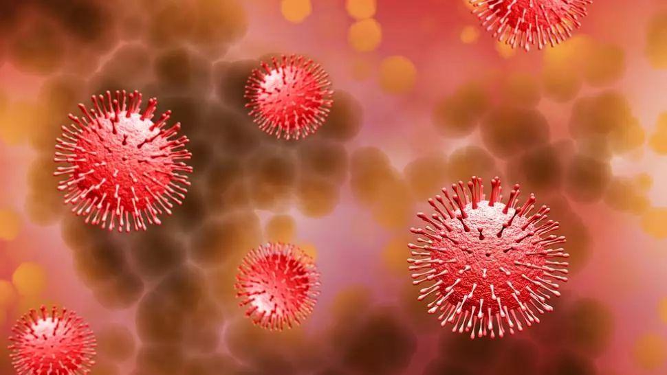 Alertă alimentară în România: populația să nu consume acest aliment - să îl distrugă sau să îl returneze la magazin