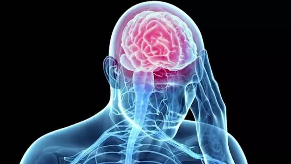 Care sunt cele 7 alimente nocive pentru sănătatea creierului