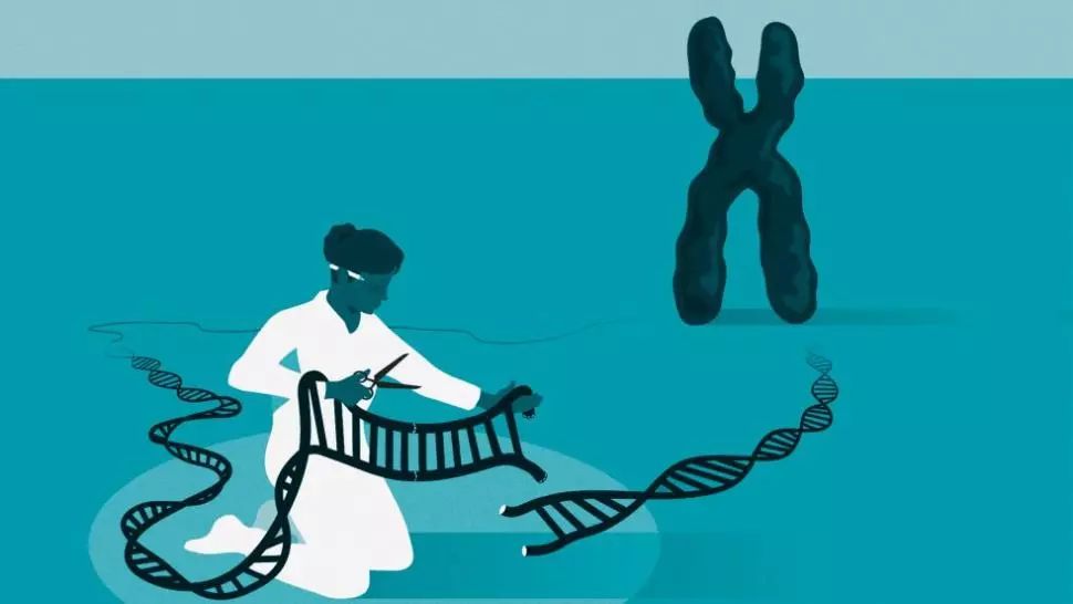 Premiul Nobel pentru Chimie, acordat pentru „rescrierea Codului vieții”. Două femei au descoperit cum poate fi editat genomul uman 