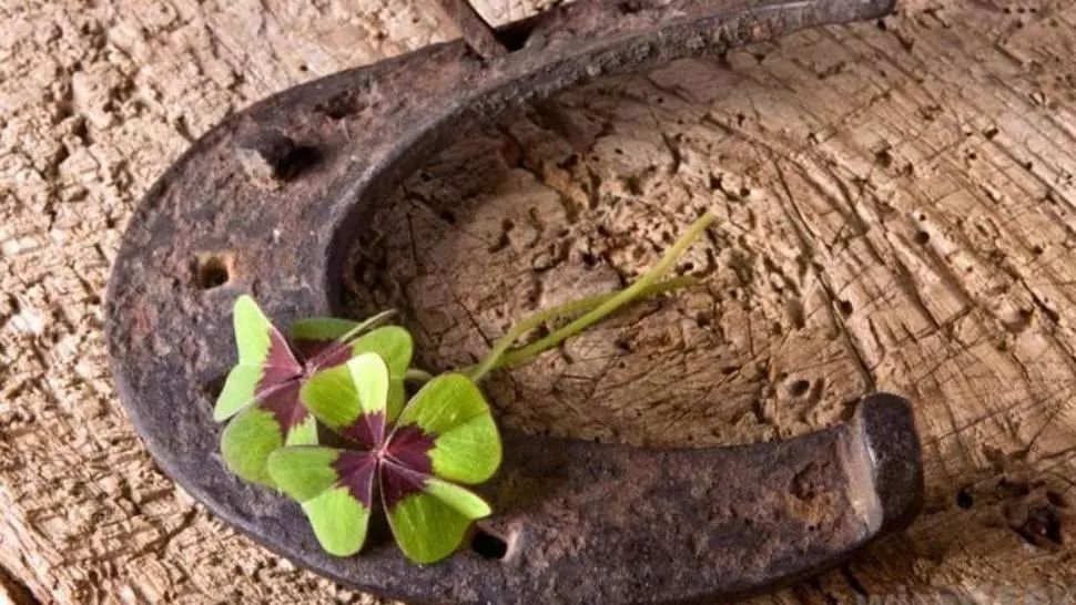 Noiembrie este luna lor! Cele 5 zodii ocrotite de astre: energiile se vor îmbina pe toate planurile 