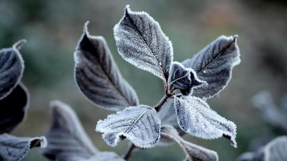 Vremea 28 septembrie - Temperaturile scad accentuat - Ce zone sunt vizate de frig
