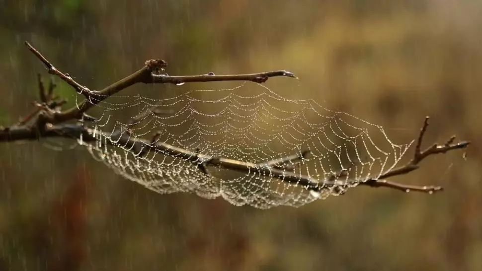 Prognoza meteo 8 octombrie. Cod galben de ploi. Cum va fi vremea în București