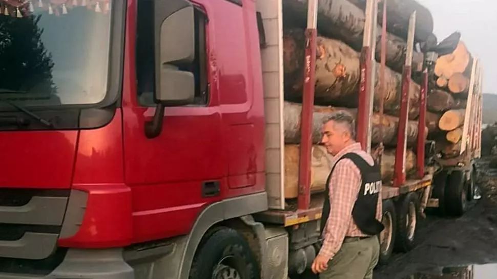 Primar de comună, prins la volanul unui camion cu lemne furate