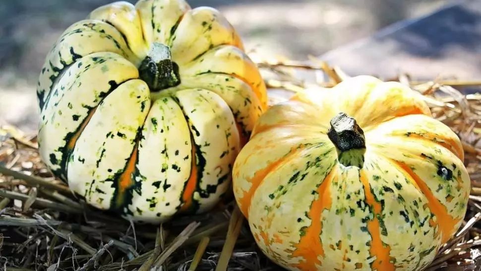 Vremea se schimbă radical. Ce ne așteaptă în ultima lună de toamnă. Meteo 26 octombrie - 23 noiembrie 