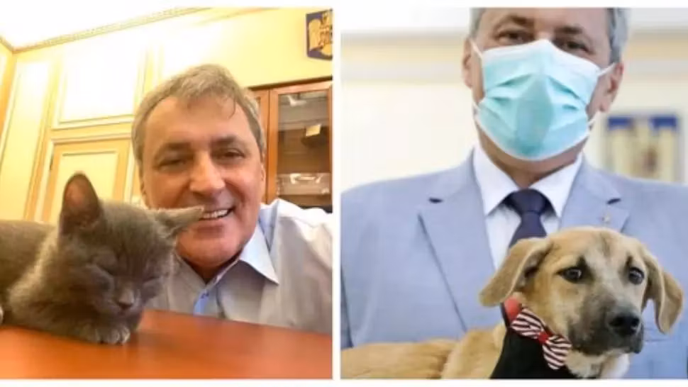 OFICIAL Marcel Vela: Poliția Animalelor, înființată prin Ordonanță de Guvern