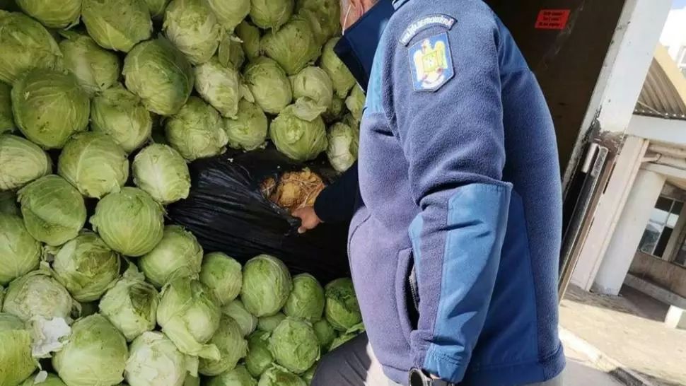 Aproximativ 9 tone de tutun vrac, descoperite ascunse printre varză şi peleţi în Vama Giurgiu