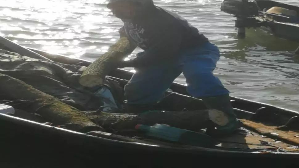  Se întâmplă în România: Bărbat, prins cu barca la furat de lemne!