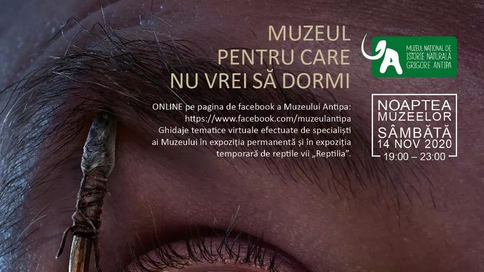 Noaptea Muzeelor la Antipa. Ediție 2020 - Online