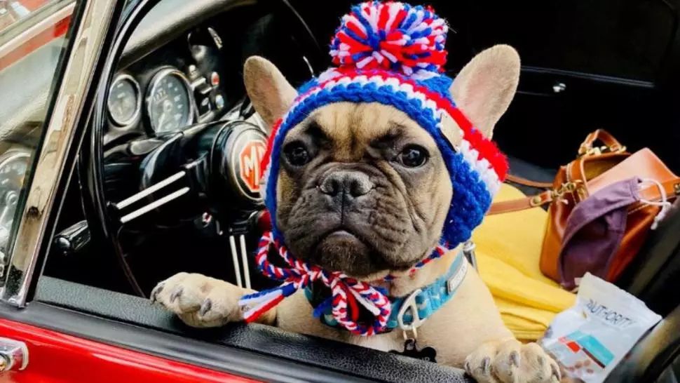 Un primar... ATIPIC, ales într-un orășel din Virginia de Vest. A strâns peste 13.000 de voturi - cel mai mare scor înregistrat până în prezent