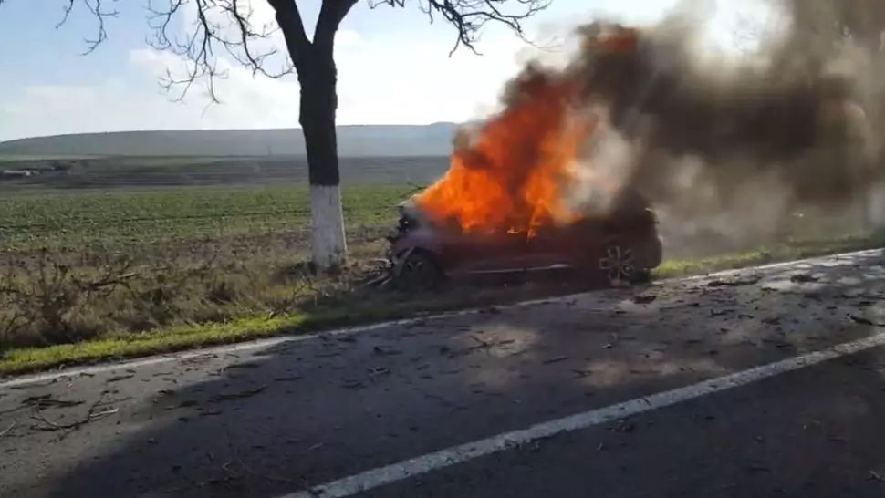 VIDEO| Mașină în flăcări după ce s-a izbit de un copac, în Tulcea