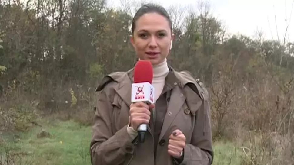 CHECK-IN. Pădurea Băneasa, pericol pentru vizitatori. Jogging în bătaia puștii