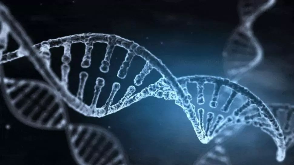 Descoperire MARCANTĂ: O nouă și, totodată, misterioasă genă „ascunsă”, identificată în virusul COVID-19