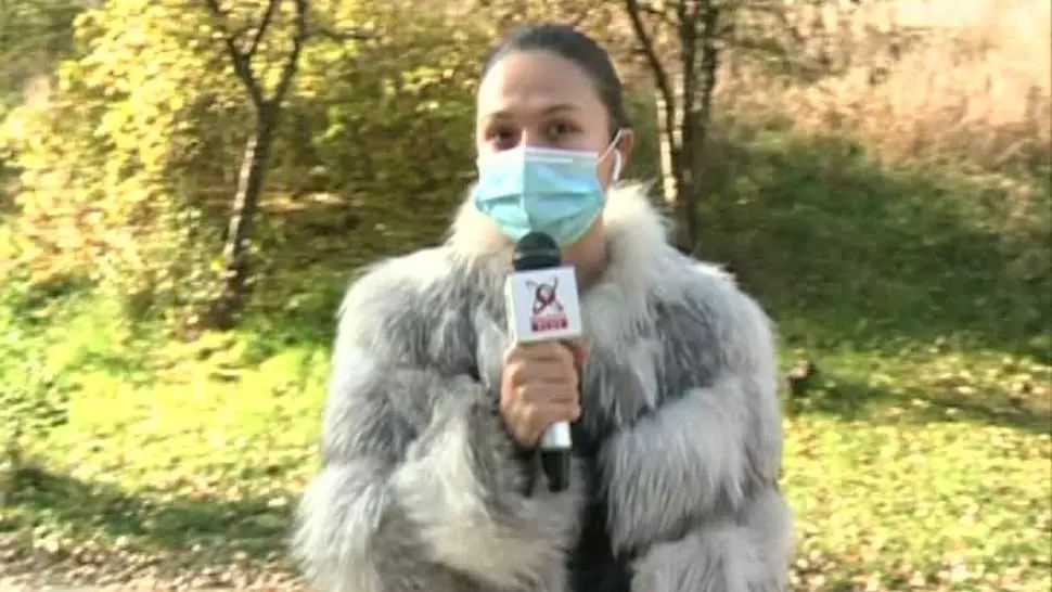 CHECK-IN. Parcul Grozăvești, scos la vânzare. Copacii, înlocuiți cu blocuri 