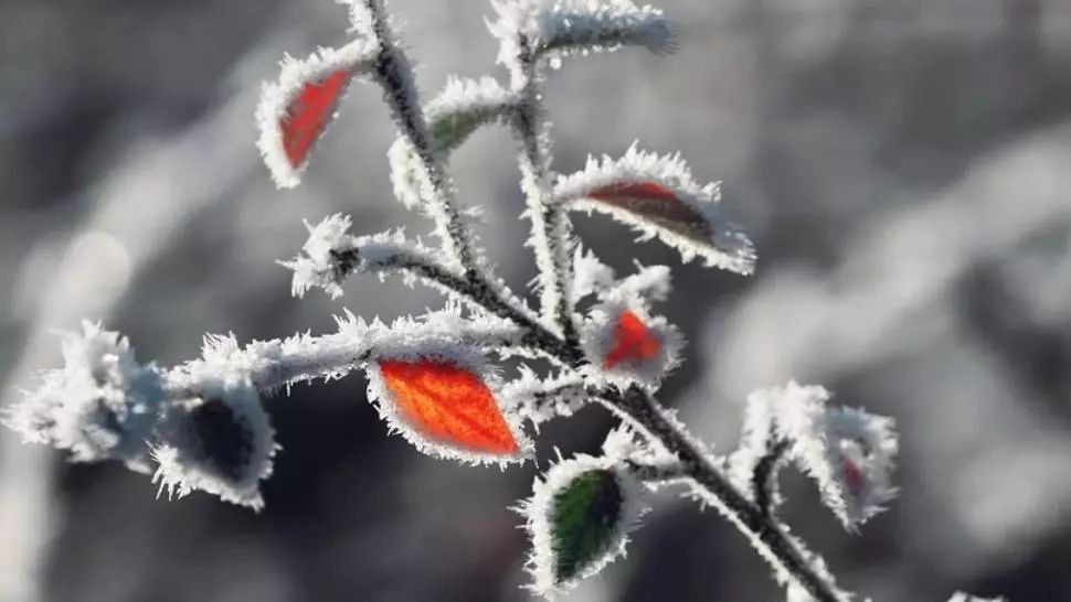 Alertă meteo: cod GALBEN de ceață și burniță