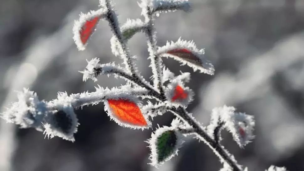 Zile reci și nopți geroase, în următoarele două săptămâni. Prognoza până pe 6 decembrie